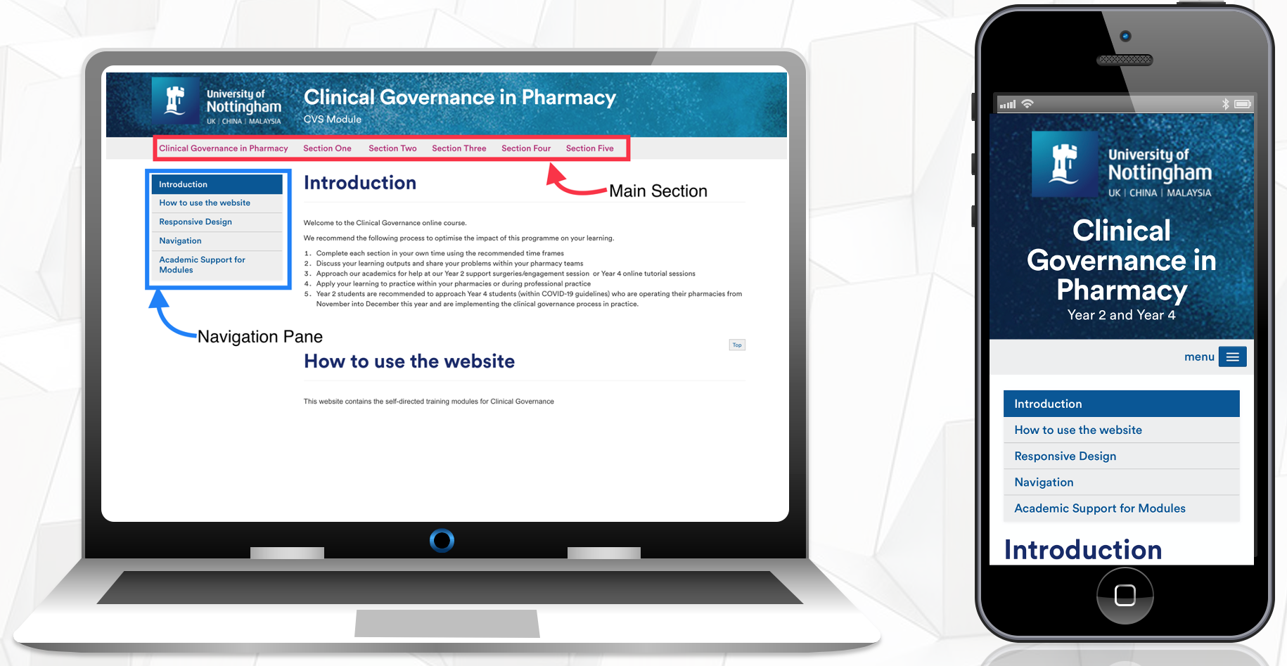 Clinical Governance in Pharmacy